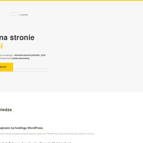 Zaprojektuj własną koszulkę