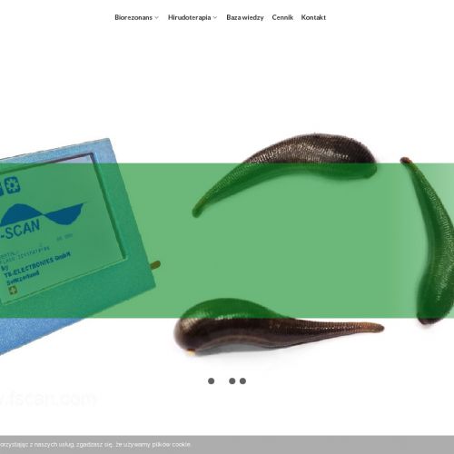 Wołomin - hirudoterapia