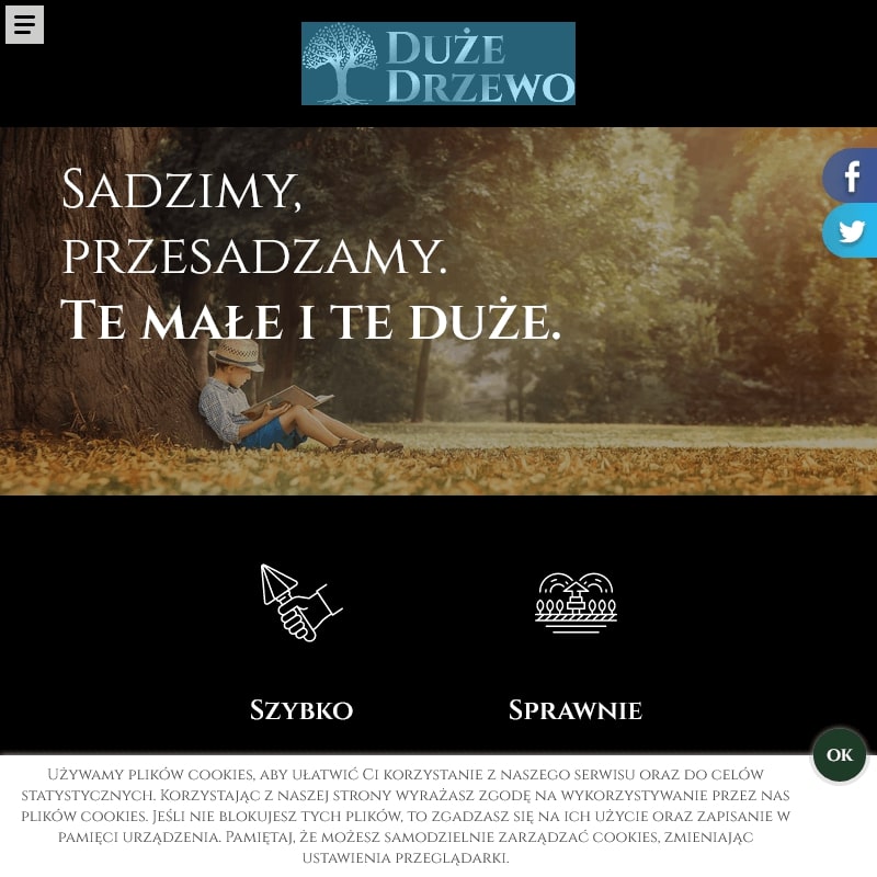 Szkółka dużych drzew mazowieckie w Warszawie